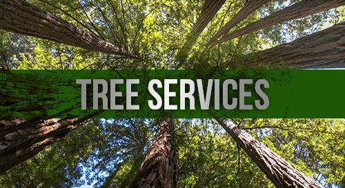 GSCinc. - Tree Services